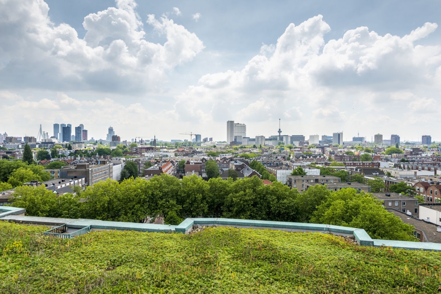 GREEN ROOFS
